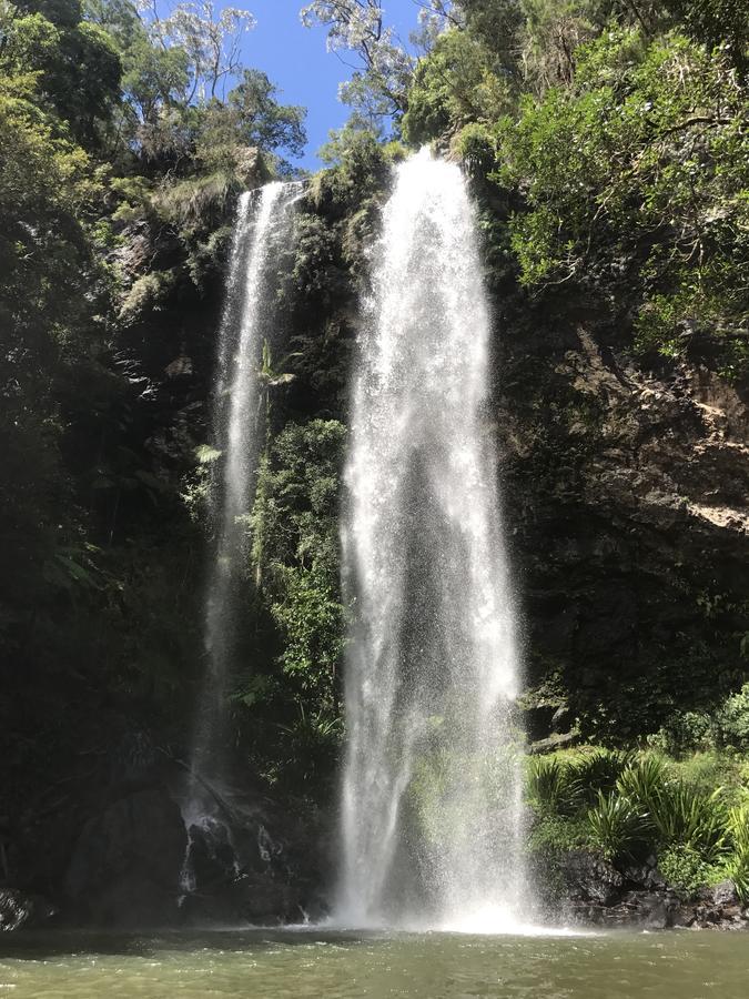 فندق Purling Brook Falls Gwongorella سبرنغبروك المظهر الخارجي الصورة