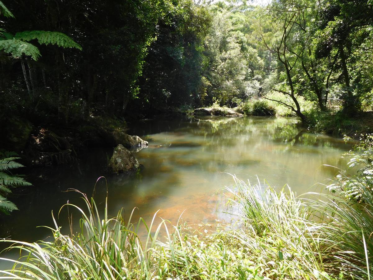 فندق Purling Brook Falls Gwongorella سبرنغبروك المظهر الخارجي الصورة