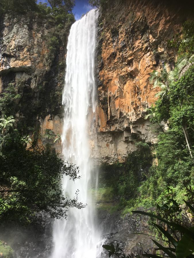 فندق Purling Brook Falls Gwongorella سبرنغبروك المظهر الخارجي الصورة